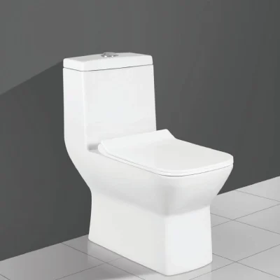 Ceramic One Piece Toilet